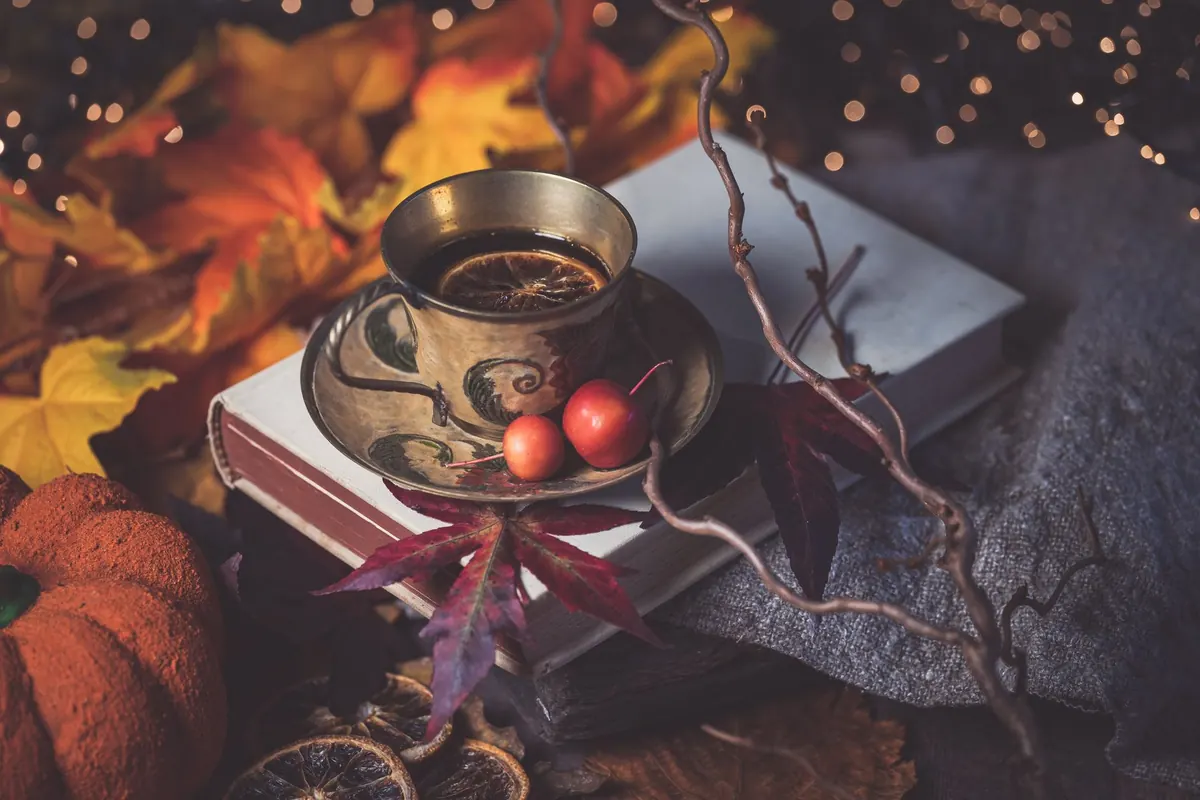 Seasonal Reading: 8 Cosy Books for Autumn Evenings